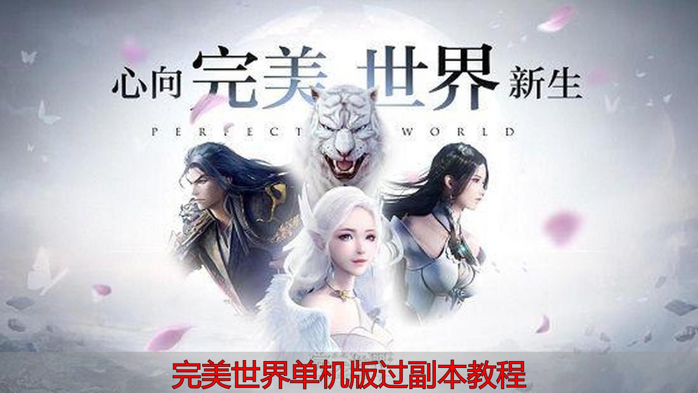 完美世界单机版过副本教程_完美世界单机版副本攻略_完美世界单机版副本装备选择