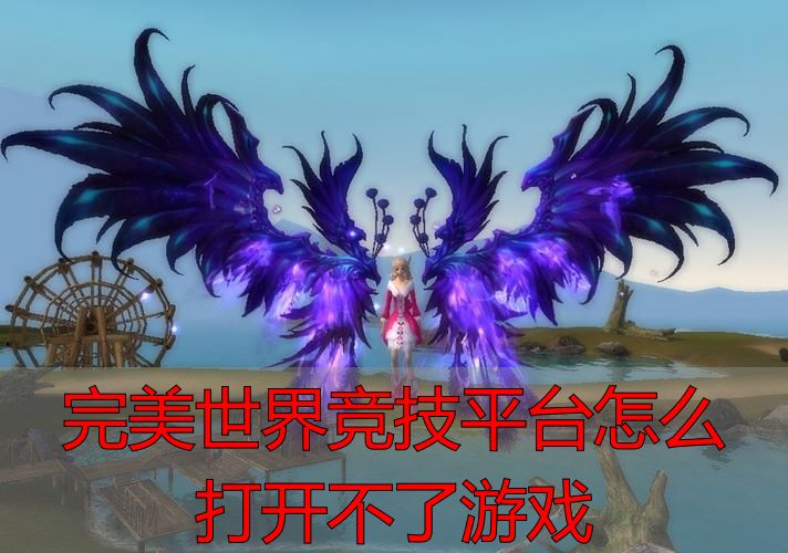 完美世界竞技平台进不去怎么办_完美世界竞技平台打不开解决方法_完美世界竞技平台怎么打开不了游戏