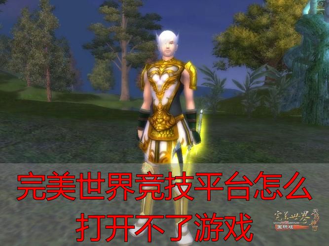 完美世界竞技平台打不开解决方法_完美世界竞技平台怎么打开不了游戏_完美世界竞技平台进不去怎么办