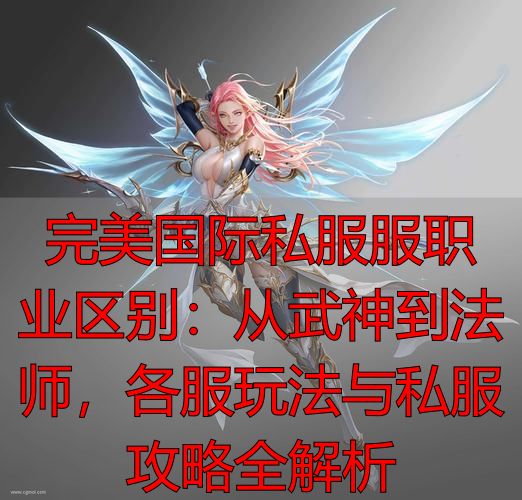 完美国际服职业差别_完美国际官方与私服职业差异_完美国际服职业区别
