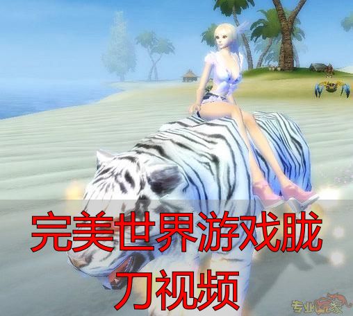 胧刀视频攻略｜完美世界私服私服玩家必看技巧